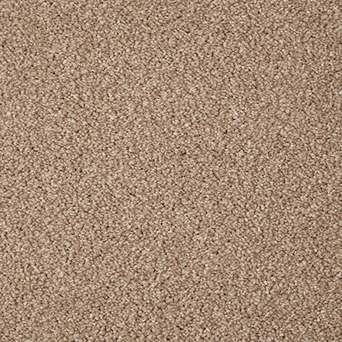 Primo Grande Carpet curlew